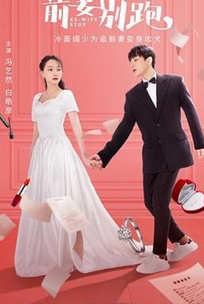 Ex-Wife Stop ขอลองจีบอีกครั้งได้ไหม ซับไทย