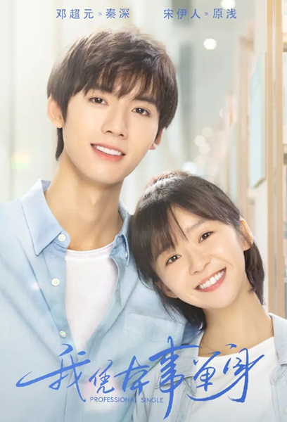 Professional Single โสดฉบับมืออาชีพ ซับไทย