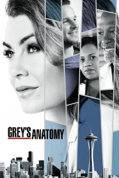 Grey’s Anatomy Season 14 (2017) ซับไทย