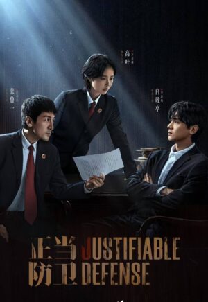 Justifiable Defense ผู้ต้องไม่หา ซับไทย