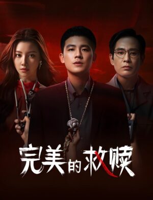 The Perfect Suspect ซับไทย