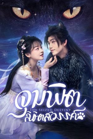The Seized Destiny จุมพิตลิขิตสวรรค์ ซับไทย