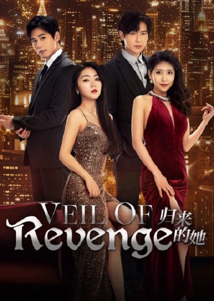 Veil of Revenge ขอรักกลับคืนใจ (2024) ซับไทย